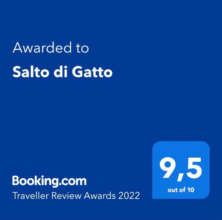 卡斯特利纳－因基安蒂Salto Di Gatto别墅 外观 照片